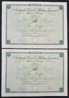 Budapest 1926. "Budapesti Központi Általános Tejcsarnok Részvénytársaság" részvénye 10P-ről szelvényekkel, szárazpecséttel (2x) sorszámkövetők T:I-