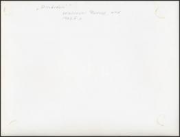 cca 1970 Kalocsai Rudolf: Diszkréció, feliratozott vintage fotóművészeti alkotás, 18x24 cm