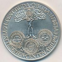 Asszonyi Tamás (1942-) / ÁPV 1973. "MÉE IV. Vándorgyűlése Budapest / Pest, Buda, Óbuda egyesíté...