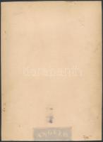 cca 1925 Angelo (1894-1974): Műtermi női portré, matricával jelzett vintage fotó, kartonra ragasztva...