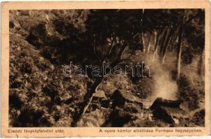 A nyers kámfor előállítása Formosa hegységeiben / Boehringer Ingelheims camphor advertisement postcard (fa)