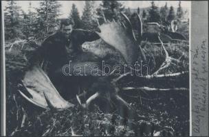 1935 Széchenyi Zsigmond (1898-1967) Alaszkában elejtett második jávor szarvasa, dokufotópapírra másolt, feliratozott vintage fénykép, 14x21 cm