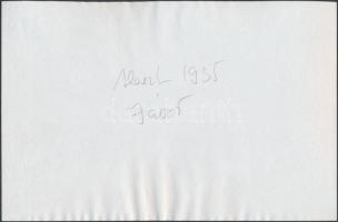 1935 Széchenyi Zsigmond (1898-1967) Alaszkában elejtett második jávor szarvasa, dokufotópapírra máso...