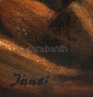 Jándi jelzéssel: Házak a hegyen. Olaj, vászon, keretben, 30×45 cm