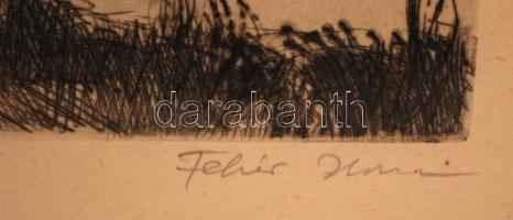 Fehér Ilona (1913-1983): Fa a tópartján. Rézkarc, papír, jelzett, 30×24 cm