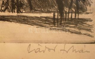 Zádor István (1882-1963): Esztergom. Rézkarc, papír, jelzett, üvegezett kereteben, 19×26 cm