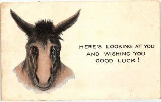 Heres looking at you and wishing you good luck! / Donkey (EB)