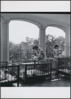 cca 1960 Kecskeméti városképek, riportfotók, Medgyesi László (?-?) kecskeméti fotóművész hagyatékába...