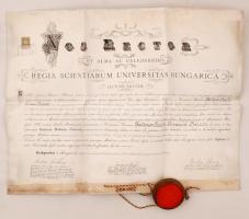 1911 A magyar királyi tudományegyetem orvosi diplomája, latin nyelven, pergamen, fatokos függőpecséttel, okmánybélyeggel