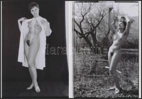 cca 1975 Modern lányok, asszonyok, finoman erotikus fényképek, 4 db korabeli negatívról készült mode...