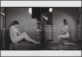 cca 1950 Háziasszony a konyhaszekrény előtt, finoman erotikus fényképek, 8 db korabeli negatívról ké...