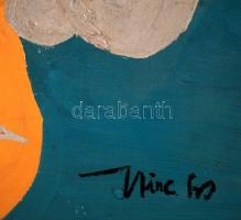 Hincz jelzéssel: Termés. Olaj,műanyag, keretben, 47×51 cm