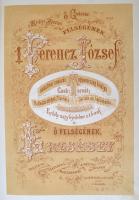 Falk Miksa és Dux Adolf: Koronázási-emlékkönyv. 1867. Junius 8. Természet után rajzolt 20 illustrácz...