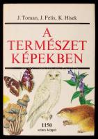 Toman-Hísek: A természet képekben. Környezetünk növény- és állatvilága. Bp., 1981, Natura. Kiadói egészvászon kötés, védőborítóval, jó állapotban.