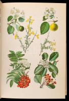 Toman-Hísek: A természet képekben. Környezetünk növény- és állatvilága. Bp., 1981, Natura. Kiadói eg...