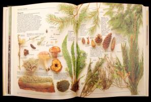 Durrell, Gerald és Lee: Az amatőr természetbúvár. Útmutató az élő természet tanulmányozásához. Harma...