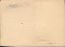 cca 1917 Felsőbánya (ma: Baia Sprie, Románia), téli utcakép, hátulján feliratozva, 13×18 cm