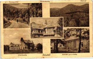 4 db főleg RÉGI használatlan magyar városképes lap; 3 db Diósjenő és egy modern Visegrád térkép / 4 ...