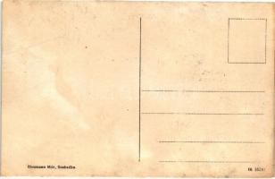 Szabadka, Subotica; Zsinagóga belseje, kiadja Heumann Mór / synagogue interior (ázott / wet damage)