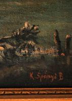 Spányi jelzéssel: Folyópart. Olaj, vászon, foltos, sérült keretben, 60×80 cm