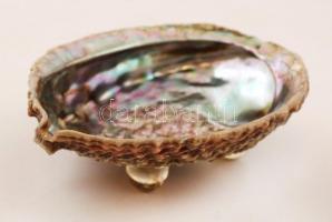 Eredeti kagylóház (kínáló), ragasztott lábakkal, 14×11 cm