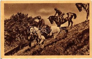 9 db MODERN használatlan magyar katonai lap; Néphadsereg  / 9 modern unused Hungarian military, Magy...