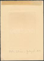 Zádor István (1882-1963): Ex libris Herzog Géza. Rézkarc, papír, jelzett a karcon, 11×8 cm