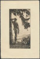 Hela Peters (1885 -1973). Ex libris Dr. Kurt Budy. Rézakrc, papír, jelzett a karcon, 14×7 cm