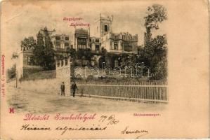1899 Szombathely, Steinamanger; Bagolyvár / Eulenburg (ázott sarok / wet corner)