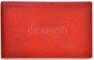 1959. "Tanácsköztársasági Emlékérem" ezüstözött Br érem mellszalaggal, miniatűrrel, sérült...