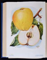 Növényvédelem. 1935 XI. évfolyam.1-12. január-december. A "Magyar Növényvédelmi Szolgálat"...