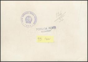 cca 1950 Magasugró, Pobuda Alfréd pecséttel jelzett fotója, hátoldalon a Magyar Testnevelési főiskol...