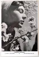 cca 1960-70 Politika, sport, kultúra és technika, történelmi összefoglaló  fotókon, cca 110db MTI fo...