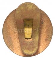 ~1926. "Gépjárművezetők Szabad Szakszervezete" zománcozott Br gomblyukjelvény (18,5mm) T:2