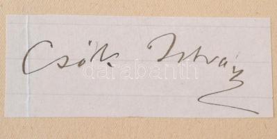 Csók István (1865-1961) festőművész saját kezű aláírása. Papír