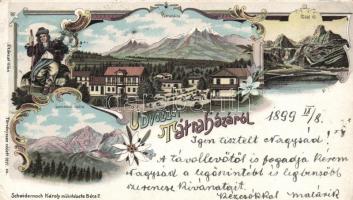 1899 Tátra, Vysoke Tatry, Tátraháza, Zöld-tó, Lomnici-csúcs, Karl Schwidernoch floral litho (EK)