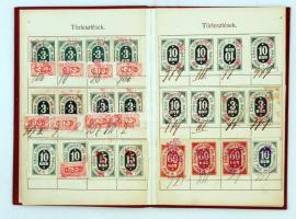 1906 Tagsági könyv, A Budapest székesfővárosi szobafestő, czímfestő, mázoló, aranyozó és fényező ipa...