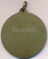 Olaszország 1993. "Trieszti Gimnasztikai Társaság - 1863-1993" olasz nyelvű Br emlékérem f...