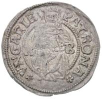 1526. Denár Ag "II. Lajos" (0,52g) T:1-,2 Hungary 1526. Denar Ag "Louis II" (0,52g) C:AU,XF Huszár 841., Unger I.: 673.o