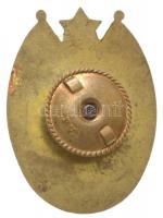 ~1970. "Kiváló Határőr" aranyozott, zománcozott jelvény (45x33mm) T:2