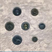 2008. 1Ft-100Ft 7xklf darabos forgalmi sor "Búcsú az egy- és kétforintostól" dísztokos sze...