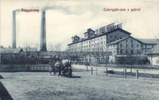 Nagysurány, Surany; Cukorgyári utca a gyárral / street with sugar factory (vágott / cut)