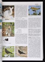 Gerhard Seilmeier (szerk.): Vadászati lexikon. Debrecen, 1997, Méliusz könyvkiadó. Fűzött kemény pap...