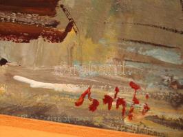 Bánfi jelzéssel: Tiszai horgászat. Olaj, karton, fa keretben, 23x33 cm