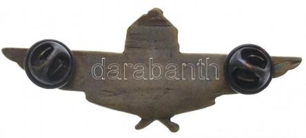 1939-1945. Magyar páncélromboló rohamcsapat alakulat jelvény, Br modern replika kitűző (29,5x70,5mm)...