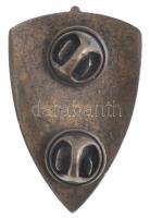 ~1945. "Az 1944-1945-ös harcok emlékjelvénye" modern replika Br kitűző (26x40mm) T:2