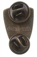 DN "Új front" modern replika Br kitűző (26x40mm) T:2