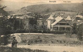 Borszék, Borsec; Villa Szini / villa