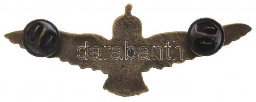 1939-1945. Magyar repülős alakulat jelvény, Br modern replika (39x77mm) T:2