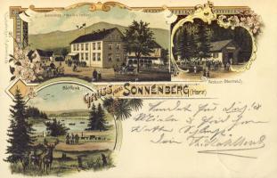 1897 Sonnenberg Litho